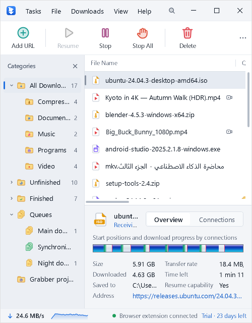 The compact BLBOL window with the download list and details pane.
