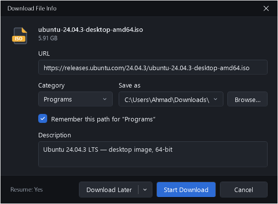 The BLBOL Download File Info dialog: file name, address, category, save location and description.